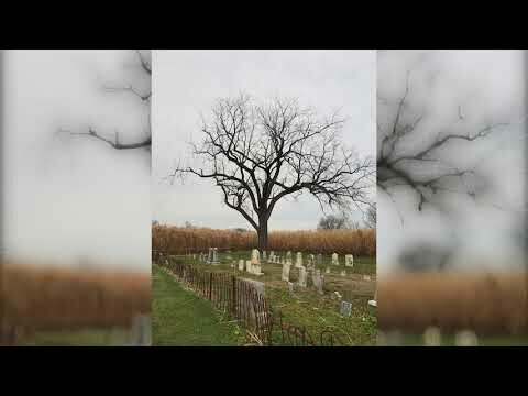 Quando Rondo – Have You Ever