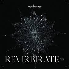 EP: PassCode – REVERBERATE