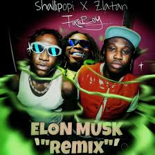 Shallipopi – Elon Musk (Remix) Ft. Fireboy DML & Zlatan
